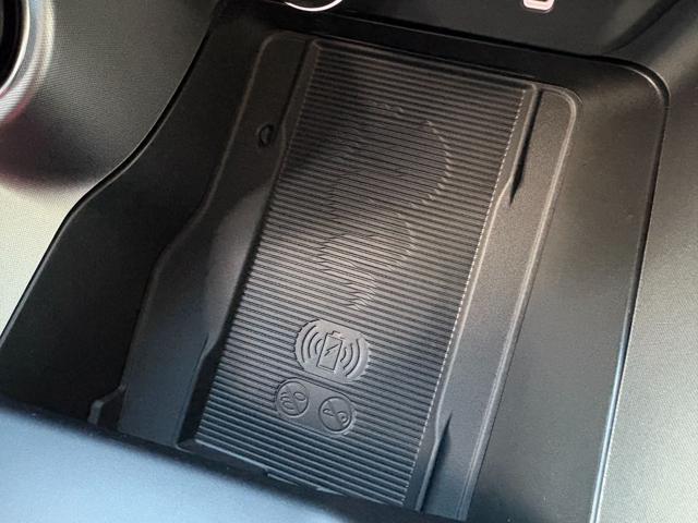 ALFA ROMEO Tonale usata, con Park Distance Control