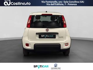 FIAT Panda usata, con Airbag Passeggero