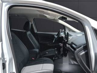 FORD EcoSport usata, con Fendinebbia