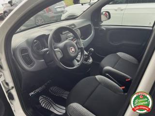 FIAT Panda usata, con ESP