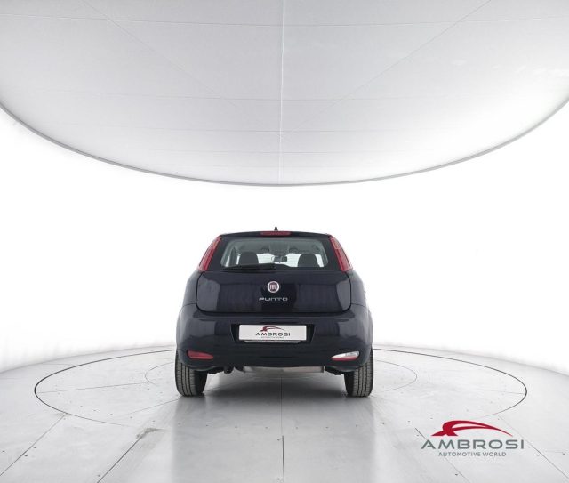 FIAT Punto usata 5