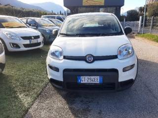 FIAT Panda usata, con Controllo trazione