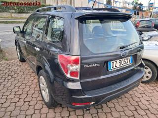 SUBARU Forester usata 6