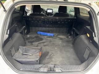 FORD Fiesta usata, con Vetri oscurati