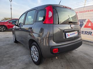 FIAT Panda usata, con Airbag Passeggero