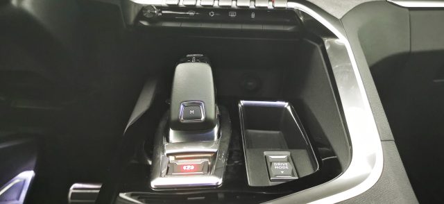 PEUGEOT 3008 usata 78