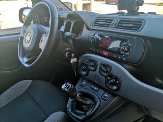 FIAT Panda usata, con Volante multifunzione