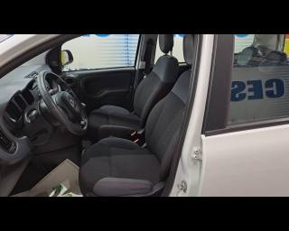 FIAT New Panda usata 20