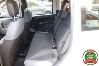 FIAT Panda usata, con Controllo trazione