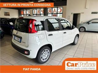 FIAT Panda usata, con Airbag Passeggero