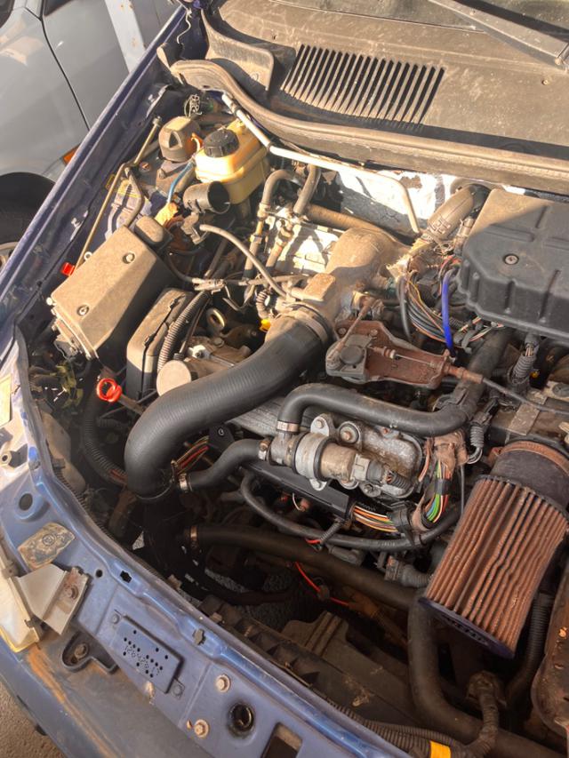 FIAT Punto usata 12