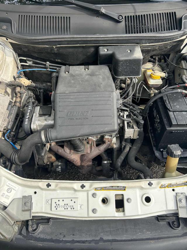 FIAT Punto usata 14