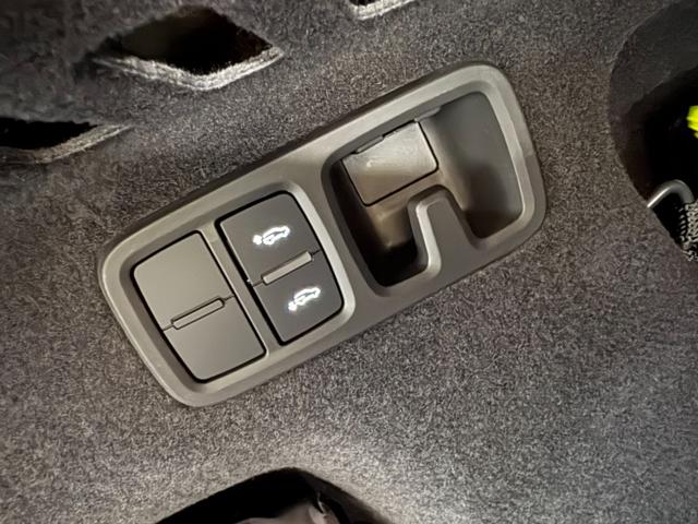 AUDI Q8 usata, con Limitatore di velocità