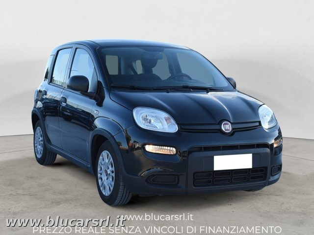 FIAT Panda usata 1