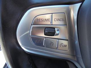 BMW 318 usata 35