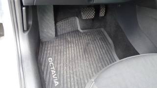 SKODA Octavia usata 67