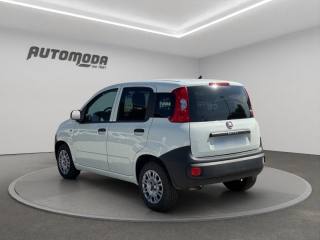 FIAT Panda usata, con ESP