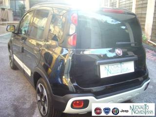 FIAT Panda Cross usata, con Servosterzo