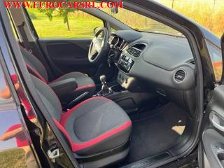 FIAT Punto usata 16