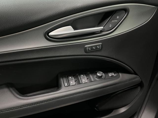 ALFA ROMEO Stelvio usata, con Immobilizzatore elettronico