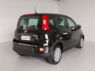 FIAT Panda usata, con Servosterzo