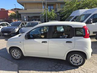 FIAT Panda usata 13