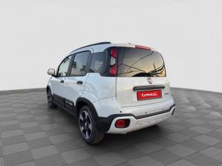 FIAT Panda usata 2