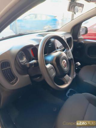 FIAT Panda usata, con Controllo trazione