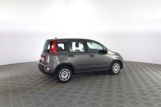 FIAT Panda usata 2