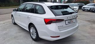 SKODA Octavia usata, con Park Distance Control