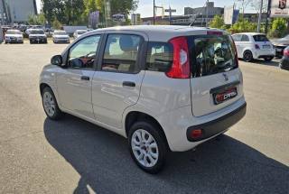 FIAT Panda usata, con Airbag Passeggero