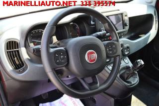 FIAT Panda Cross usata, con Immobilizzatore elettronico