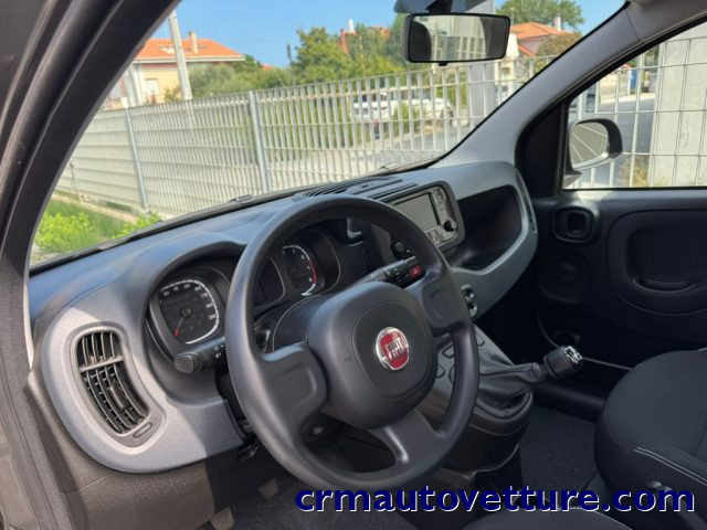 FIAT Panda usata 6
