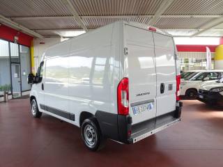 FIAT Ducato usata, con Airbag Passeggero