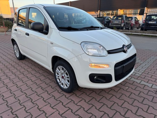 FIAT New Panda usata, con Airbag Passeggero