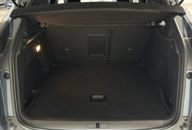 PEUGEOT 3008 usata, con Vetri oscurati