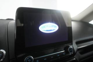 FORD EcoSport usata 14