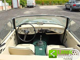 AUSTIN Healey usata 13