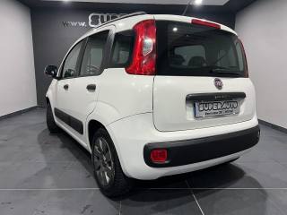 FIAT Panda usata, con Airbag Passeggero