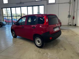 FIAT Panda usata, con Controllo trazione
