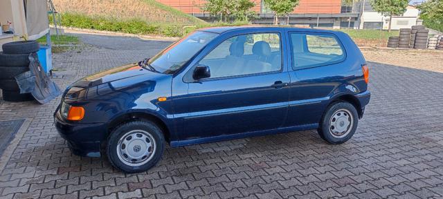VOLKSWAGEN Polo usata 1