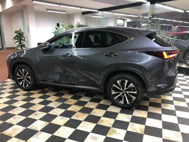 LEXUS NX 450h usata, con Cerchi in lega