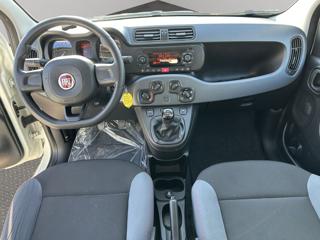 FIAT Panda usata, con Controllo trazione