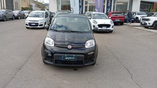 FIAT Panda usata, con Airbag