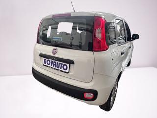 FIAT Panda usata, con Alzacristalli elettrici