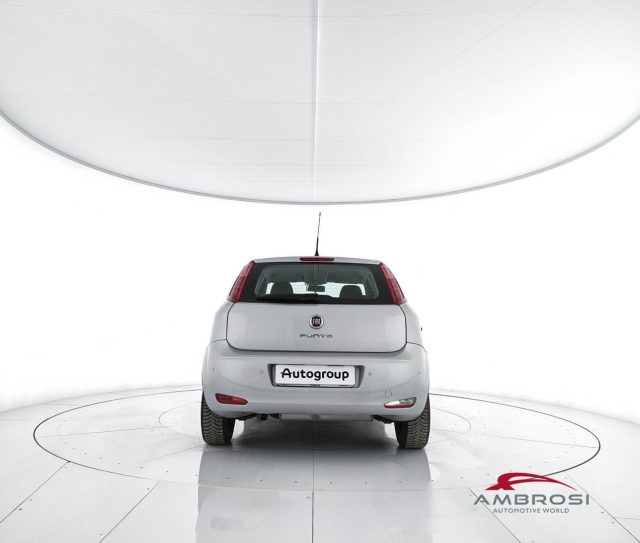FIAT Punto usata 5