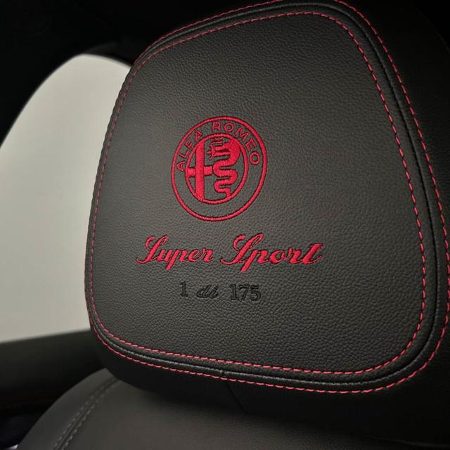 ALFA ROMEO Stelvio usata, con Cronologia tagliandi