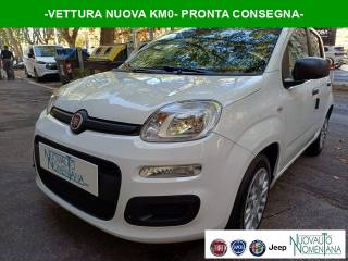 FIAT Panda Pandina 1.0 FireFly S&S Hybrid Icon Vettura Nuova