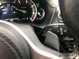 BMW X3 usata, con Fari LED