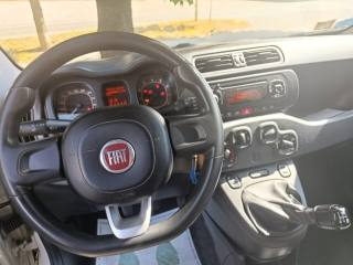 FIAT Panda usata, con Climatizzatore